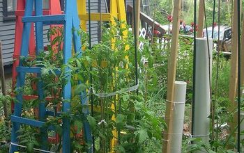 Tomato Cages Vs Tomato Ladders and Conserving Rain Water