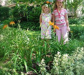 my garden fairies, flowers, gardening, outdoor living
