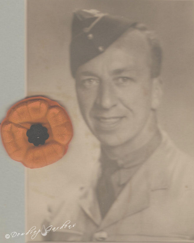 remembrance day, My grandfather during World War II