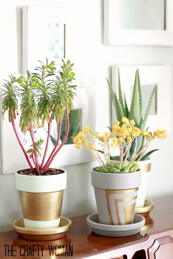 terra cotta pots with gold leafing, crafts, gardening, home decor, painting, succulents, Succulents of varying shapes give a visual contrast to the otherwise geometric feel