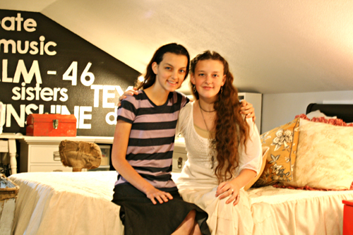 teen girls attic room makeover, bedroom ideas, home decor