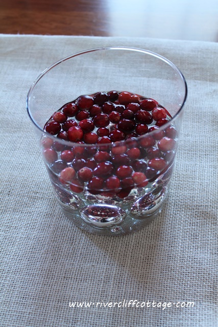 natural christmas holiday table centerpiece, christmas decorations, seasonal holiday decor, A cup of cranberries