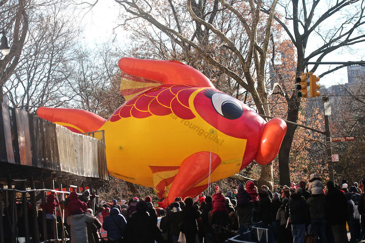 id needed re characters in entertainment, seasonal holiday d cor, thanksgiving decorations, An unidentified fish marches swims out of water in Macy s 2013 Thanksgiving Parade View Two at CPW