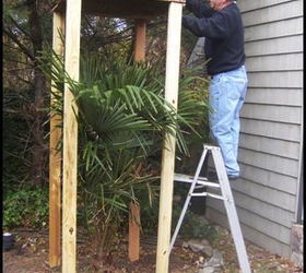 that s a wrap prepping a windmill palm for winter, gardening, Building the structure