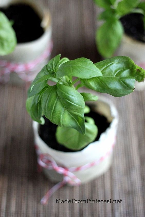 paper pot seed cups, crafts, gardening, Paper Pots are a great way to share plants with other gardeners You can make a cute label or write a message right on the pot