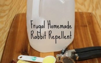 Frugal, Homemade Rabbit Repellent