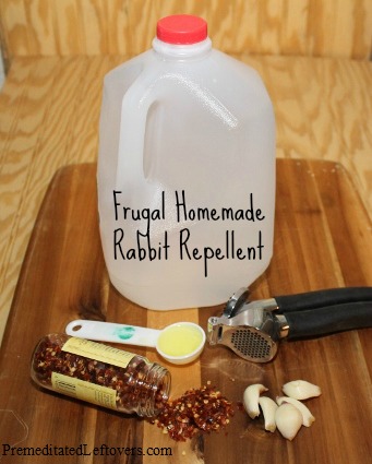 frugal homemade rabbit repellent, gardening, pest control, Homemade Rabbit Repellent
