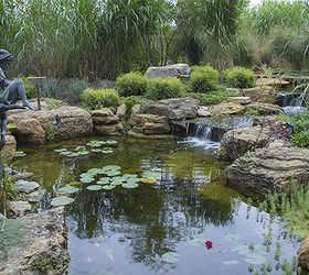 pond and waterfall in suburban chicago, gardening, outdoor living, ponds water features, An ecosystem pond has koi and other critters