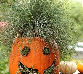 jack o planterns, gardening, halloween decorations, seasonal holiday d cor