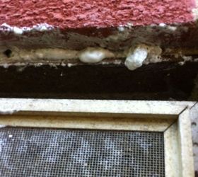 honey bee problems already, pest control, Brick hole filled with spray foam pest block