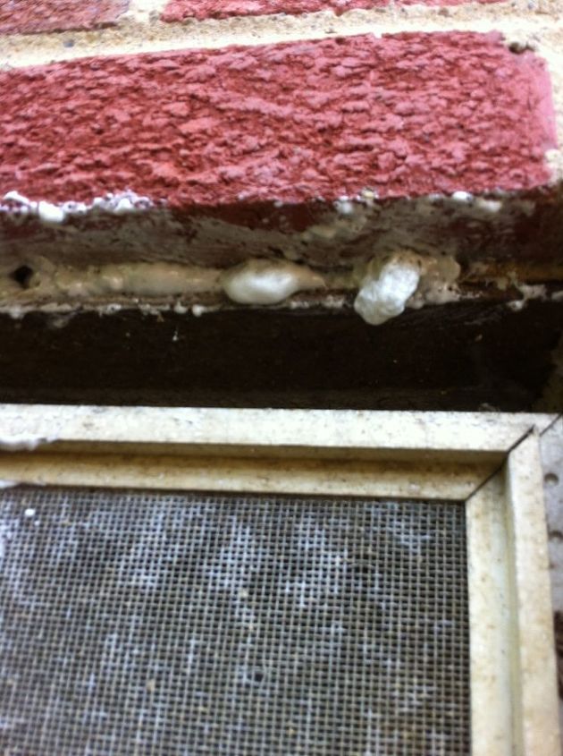 honey bee problems already, pest control, Brick hole filled with spray foam pest block