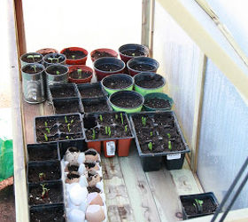 growing with a cold frame, gardening