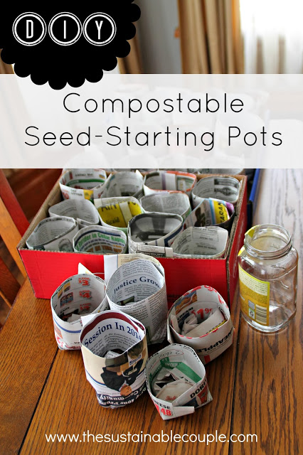 starting spring seeds indoors, container gardening, flowers, gardening, The seed pots can be made from rolled newspapers