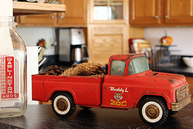 my funky fall kitchen aka ffk, kitchen design, repurposing upcycling, seasonal holiday decor, My little Buddy L zoo truck carries some pinecones