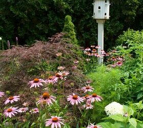 placing birdhouses in the garden, flowers, gardening, Placing birdhouses off the ground is key to keep predators away from them Do a little research as to the types of birds in your area to ensure you find a house that will work for them