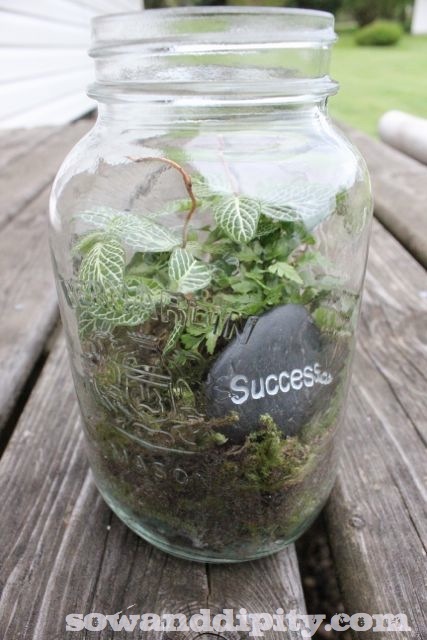 terrariums in all shapes and sizes, crafts, gardening, terrarium, Add an inspiration stone and give it as a gift