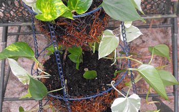 Repurposed Vegetable Holder hanging basket