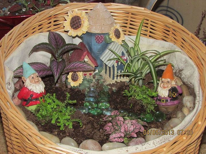 still snow on the ground here in wisconsin so i have brought gardening inside, gardening