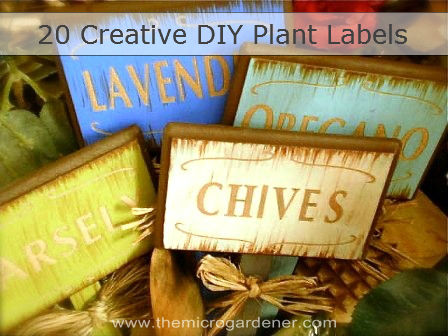 20 etiquetas creativas para plantas diy