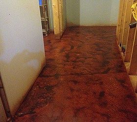 basement flooring options, flooring, go green, painting, Another view of the stained concrete basement flooring These are non solvent in nature and considered a Green treatment