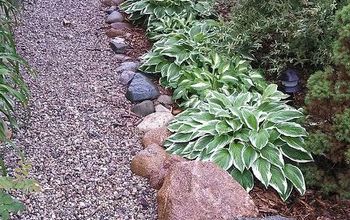 Hostas: The Art of Using One Type and Making It Look Different