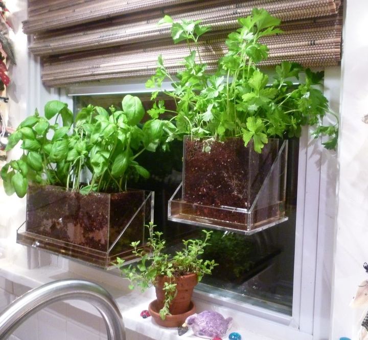 vertical gardening love, container gardening, gardening, home decor, urban living, Basil and parsley