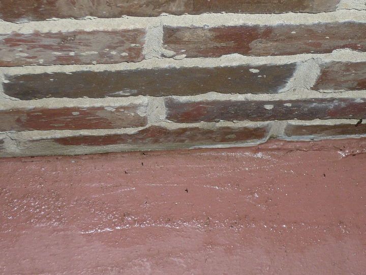 formigas soluo fcil e segura, Formigas encontradas em Windex