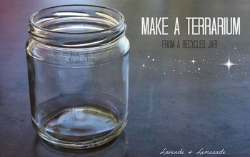 DIY: Make a Terrarium