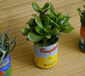 soup can planters, gardening, repurposing upcycling, succulents, Simple and inexpensive