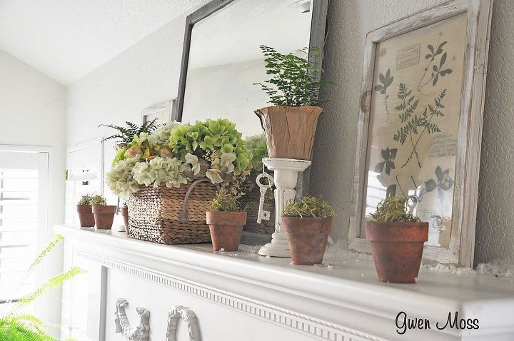 how to bring the colors of spring into your room, seasonal holiday d cor, a few baby ferns and pots of moss on the mantel are next to thrift store botanticals propped against the wall