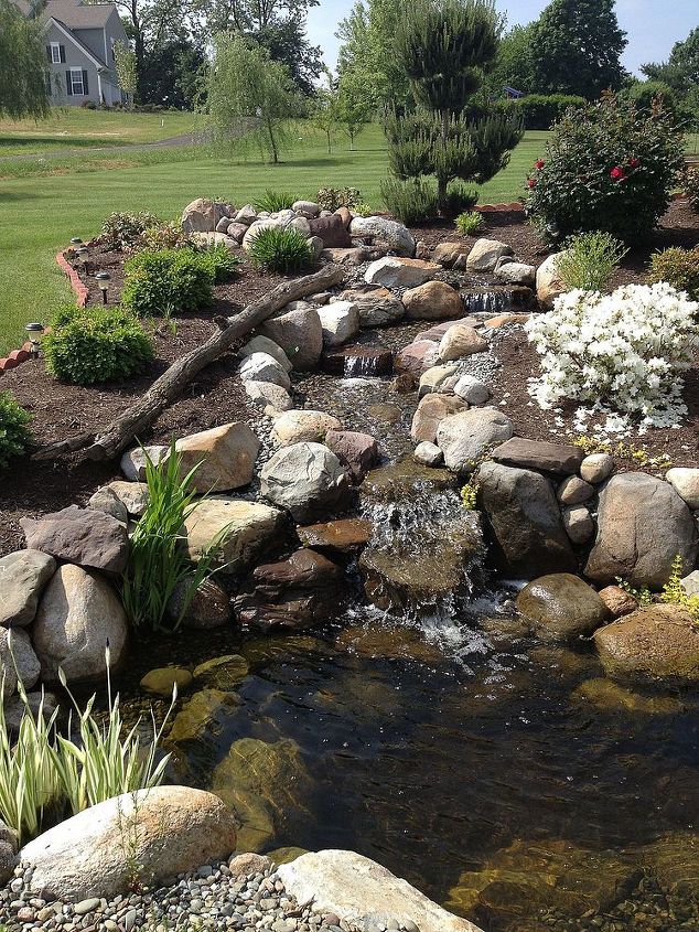 pond build, outdoor living, ponds water features