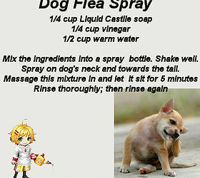 diy dog flea spray no chemicals, green living, pest control