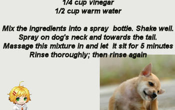 DIY Dog Flea Spray - No Chemicals
