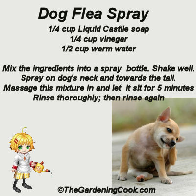 diy dog flea spray no chemicals, green living, pest control