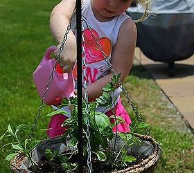 toddler herb garden, gardening, outdoor living, The garden contains basil cilantro parsley and sweet pepper plants
