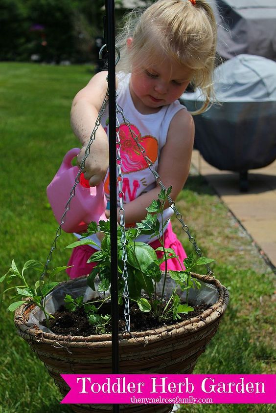 toddler herb garden, gardening, outdoor living, The garden contains basil cilantro parsley and sweet pepper plants