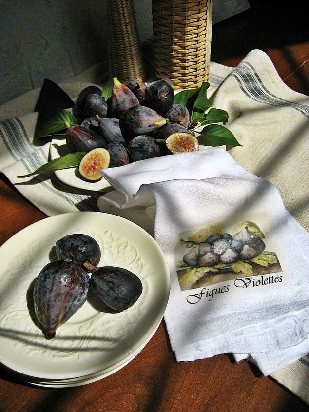 fall figs amp a tea towel to make i used a favorite painting and an iron on, crafts, home decor, seasonal holiday decor, Playing with the shadows on my dining room table