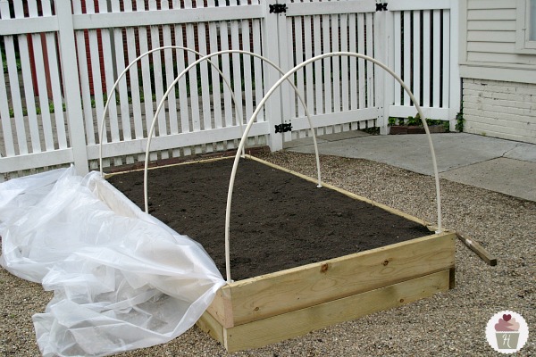 how to make a raised garden bed cover, diy, gardening, how to, raised garden beds, We used PVC pipe in 2 sizes clamps and plastics sheeting