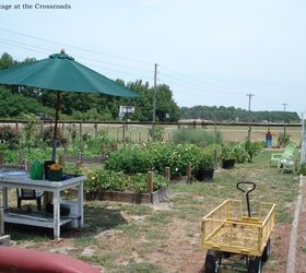 irrigation system in our garden, gardening, landscape