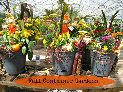 fall container gardens, container gardening, gardening, Some of the beautiful fall container gardens made at the workshop my daughters and I attended