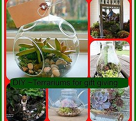 diy terrariums for gift giving, gardening, seasonal holiday d cor, succulents, terrarium, See the post