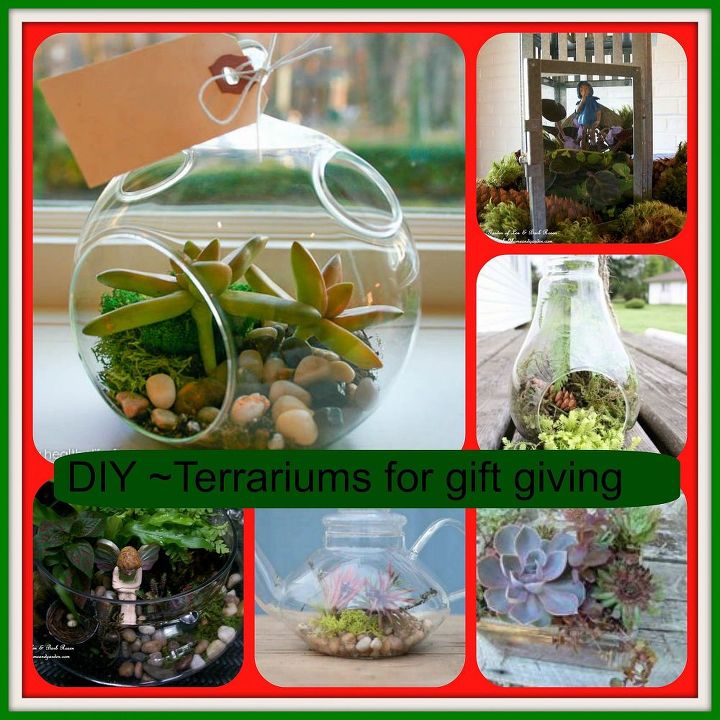 diy terrariums for gift giving, gardening, seasonal holiday d cor, succulents, terrarium, See the post
