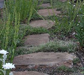 how to stain concrete safe and inexpensive, concrete masonry, landscape, If you would like to update a concrete garden path I have an easy and inexpensive solution