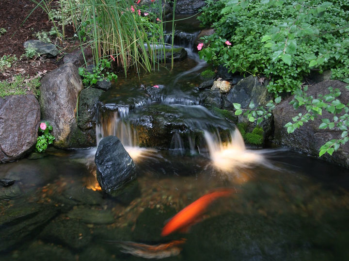 create a romantic summer evening with underwater lighting, outdoor living, ponds water features, It s fun to watch fish dart in and out of the lights