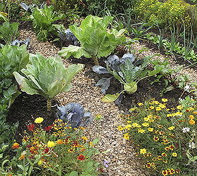 planting vegetables and flowers in one garden, flowers, gardening, perennials, The right flowering plants can make vegetables healthier more resilient and prettier