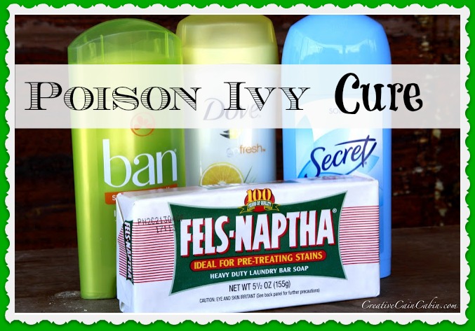poison ivy cure, gardening, Scrub affected area with a dish scratchy and Fels Naptha Soap Apply heavily stick deodorant Do this twice a day until the ivy is drying