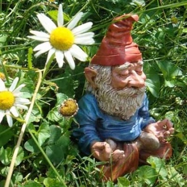 there s a gnome in my garden, gardening, landscape