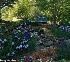 making an inexpensive garden pond, outdoor living, perennial, ponds water features, A June photo showing the pond garden irises and a pond swing that we enjoy as long as we can keep the mosquitoes away We also have string lighting in a couple of the basswood tree branches to have a lighted area to enjoy at night