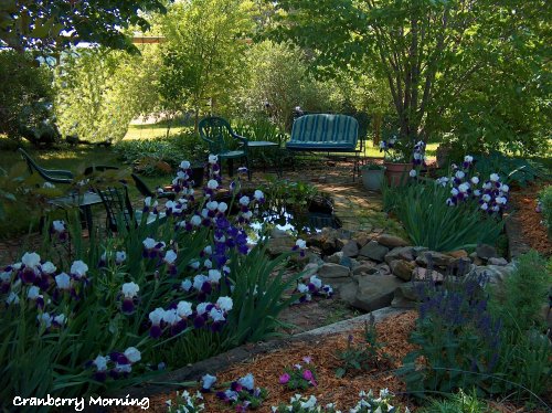 making an inexpensive garden pond, outdoor living, perennial, ponds water features, A June photo showing the pond garden irises and a pond swing that we enjoy as long as we can keep the mosquitoes away We also have string lighting in a couple of the basswood tree branches to have a lighted area to enjoy at night