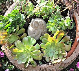 spring succulent container gardening in flower bed, container gardening, flowers, gardening, succulents, Filled the empty terra cotta pot with some succulents and spring bunny yard decor